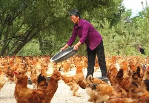 幸福生活是奋斗出来的