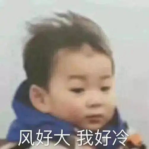 50个又贱又骚气的表情包,快收图