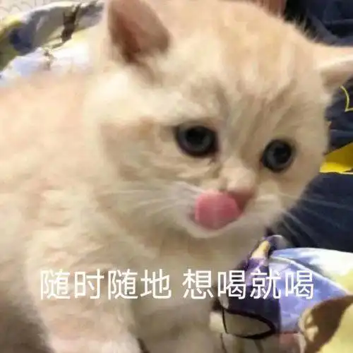 搞笑gif你要选31还是13这什么意思