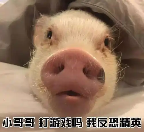 教你如何一句话搭讪小哥哥