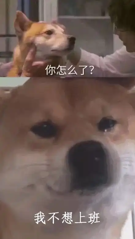 年轻人心情一览表哈哈哈哈
