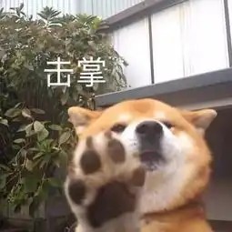 献给所有肥宅的朋友圈摄影大赛夹缝夺冠指南