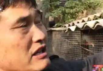 大衣哥大门又被砸,男子拜师不成恼羞成怒,拿大铁锤砸门,太可怕了