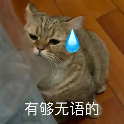 拿啥跟他比他吃肯德基不看星期几丨第323期喵表情
