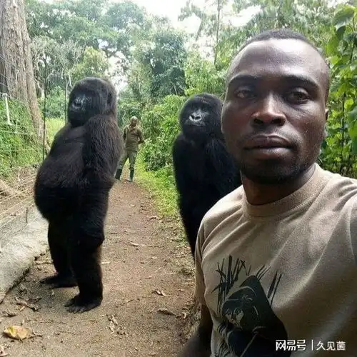 测试一个超长简介的文章