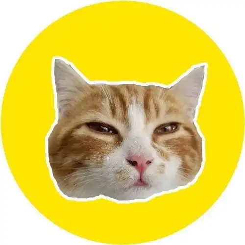 一只快乐肥宅猫的日常,不用上班也不用上学