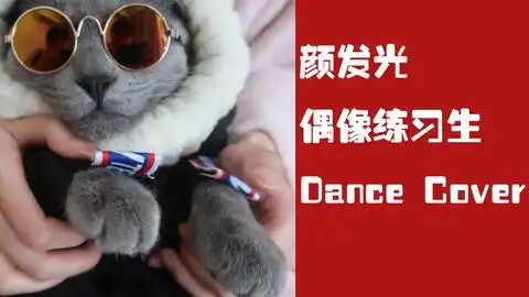猪小屁热舞偶像练习生最火的ppap捣蒜舞