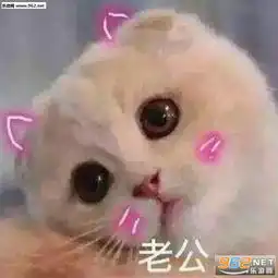 有吃的吗请问可爱表情包电死你个小可爱喵咪表情包下载乐游网游戏下载