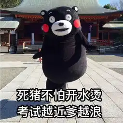 这个熊是个动漫人物什么的吗有名字吗