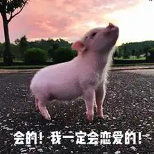 你是不是在外面有猪了小猪图片粉红小猪仔表情包下载乐游网游戏下载