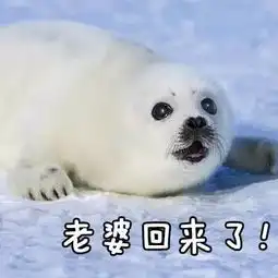 老公老婆表情包
