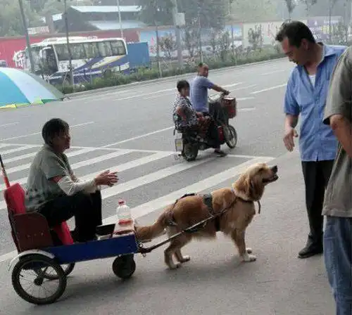 找亮点