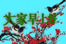 今天12月13日,最全的早上好表情图片送给你请查收