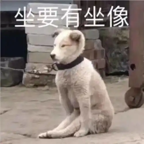表情包你是我亲自挑选的家人