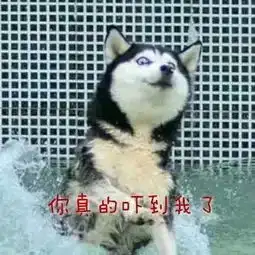测试一个超长简介的文章