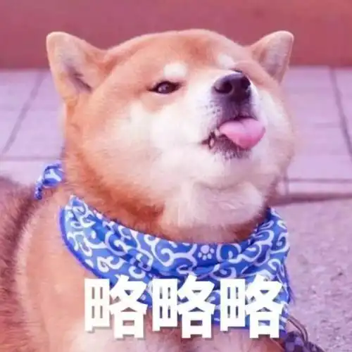 邂逅在迷宫女神节不能说的那些