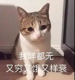 你属啥我属猫的