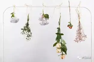 情人节图片搞笑图片干花制作