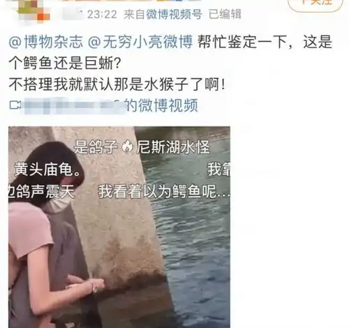 超火的无穷小亮藏狐表情包,大家快来前排围观藏狐在线暴躁