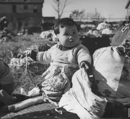 73年前的今日,日本投降了