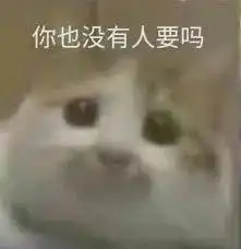 我只会心疼giegie