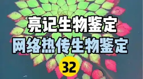 蹭杀人犯热度的女网红,您没事吗
