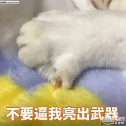 你又背着我偷吃屎表情包无情浇灭我所有热情表情包下载乐游网游戏下载