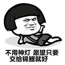 愿望交给锦鲤你只管努力表情包下载愿望交给锦鲤你只管努力表情包高清无水印极光下载站