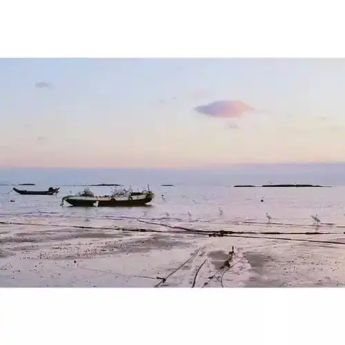 冬天里思念的句子,最终只感动过一个人