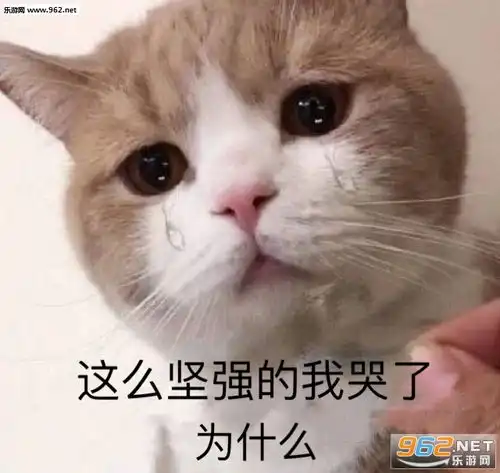 哦行吧感情淡了图片我想脱单不你不想表情包下载乐游网游戏下载