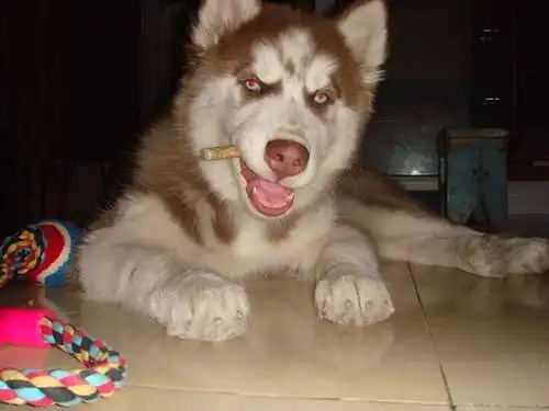 那些让你难忘一辈子的搞笑图片
