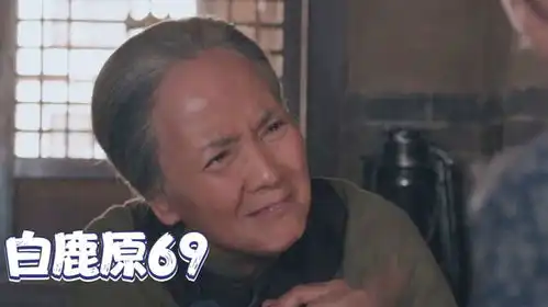 白鹿原69老太太不忍孙子被掏空找到孝文媳妇他们要惜力