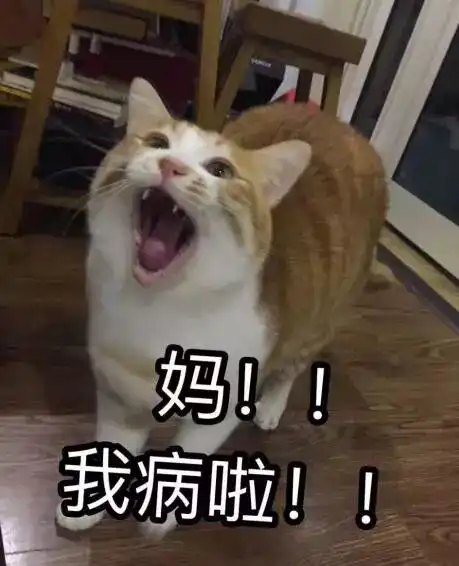 你被妈妈坑过吗
