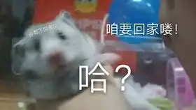 半夜三连拍,封面睡觉姿势真的好乖,小肚皮好可爱