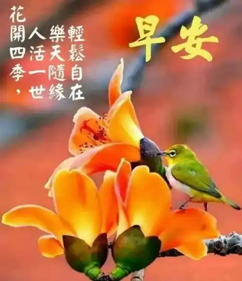 最新早晨好问候语动态图片表情漂亮早上好问候祝福语动表情图片
