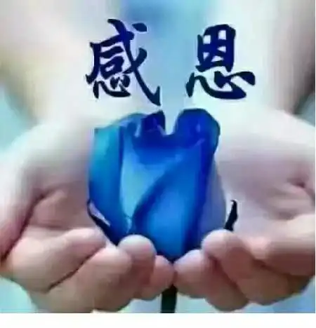 向着太阳出发