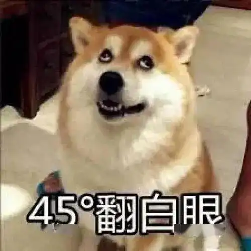 啪秘丨对于那些总是劝你大度一点的人,你怎么看