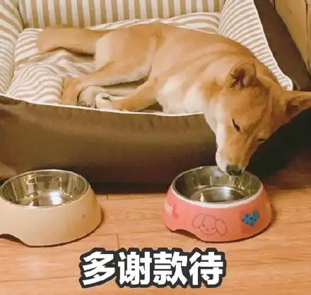 多谢表情包多谢微信表情包多谢qq表情包发表情fabiaoqing.com