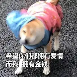 测试一个超长简介的文章