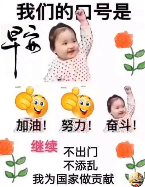 中老年表情包,继续不出门不添乱,愿山河无恙你我平安