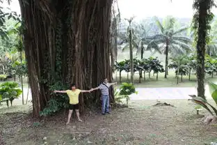 缤纷迷人假期走马观花