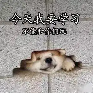 高中生学习专用表情包,是学霸就进来收图