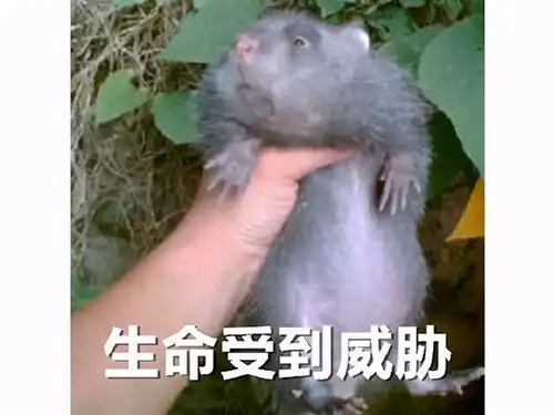 要翻车赛博朋克2077被bug拉胯评价,多到育碧都自愧不如