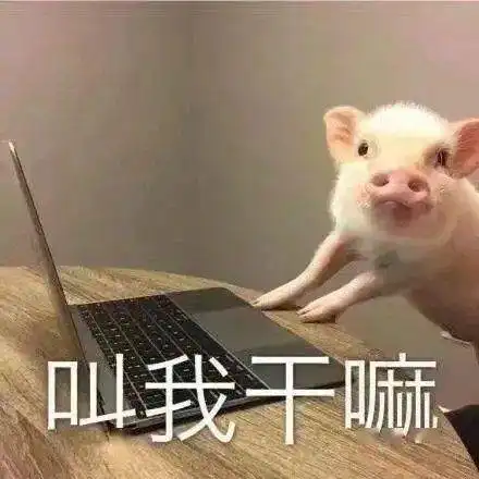 时隔三年这次笔给你,台风名字你来取