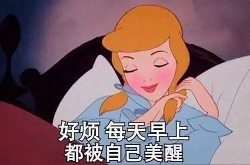迪士尼公主恶搞图