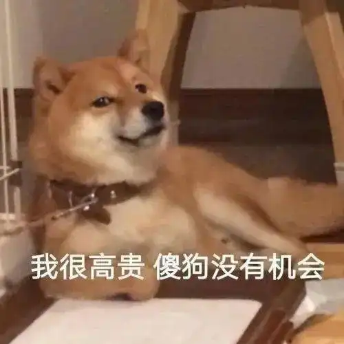 内江的贵族们今日份快乐空投,请接收