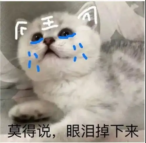 官宣277所美国大学公布2020年秋季开学计划一时间竟然开心不起来...