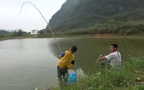 浙江一男子夜晚钓鱼一个月,妻子在家被鱼钓,在家一天搞八次夜钓张威王悦钓友钓竿钓鱼手机网易网