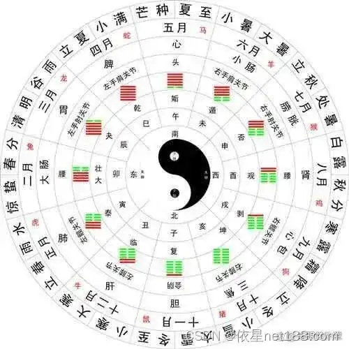 天干地支五行对照表十天干十二地支五行对应表