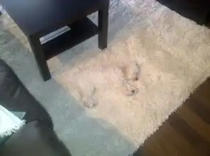 你看不到,看不到我
